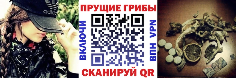 Псилоцибиновые грибы Psilocybe  закладка  МЕГА ссылка  Озёры 